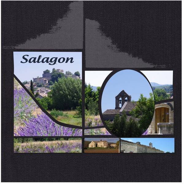 salagon
