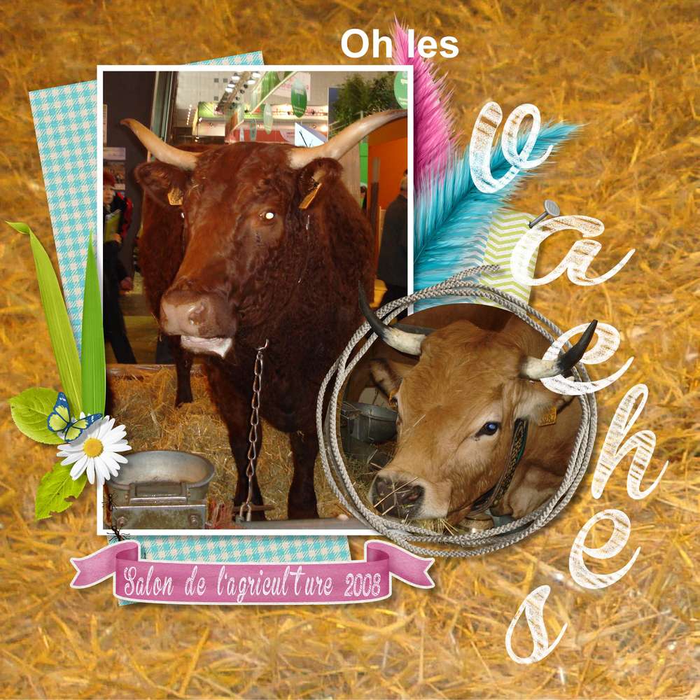 Salon de l'agriculture