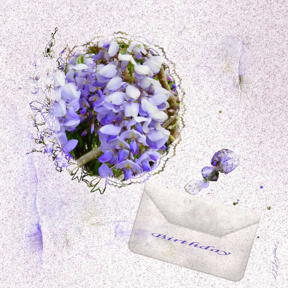 sandra et iola c'est votre jour