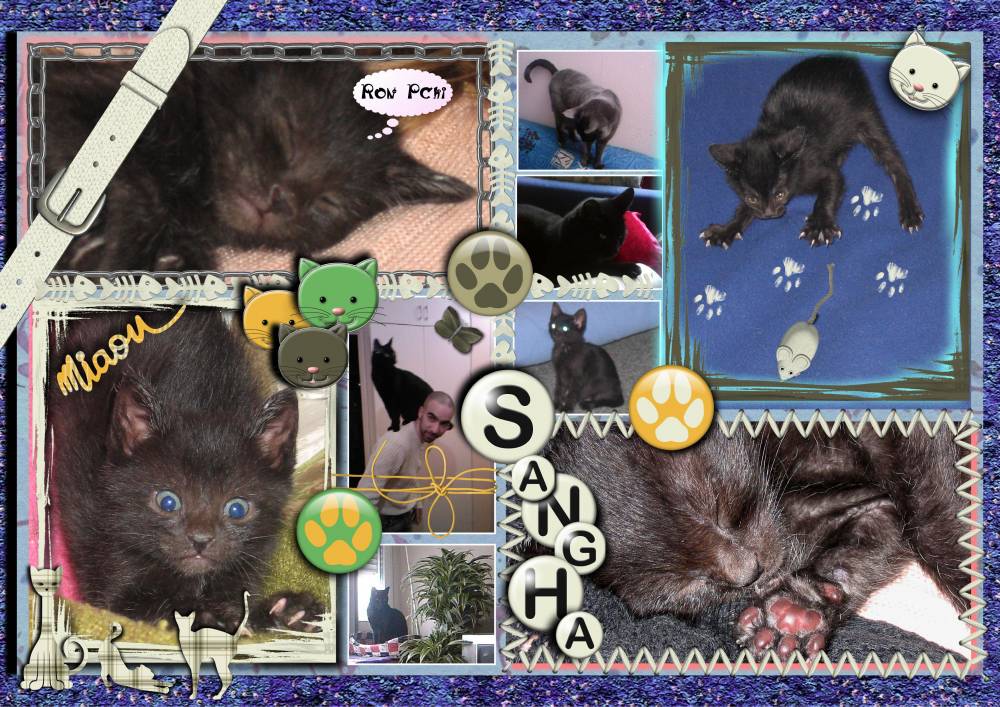 Sangha bébé La Terreur