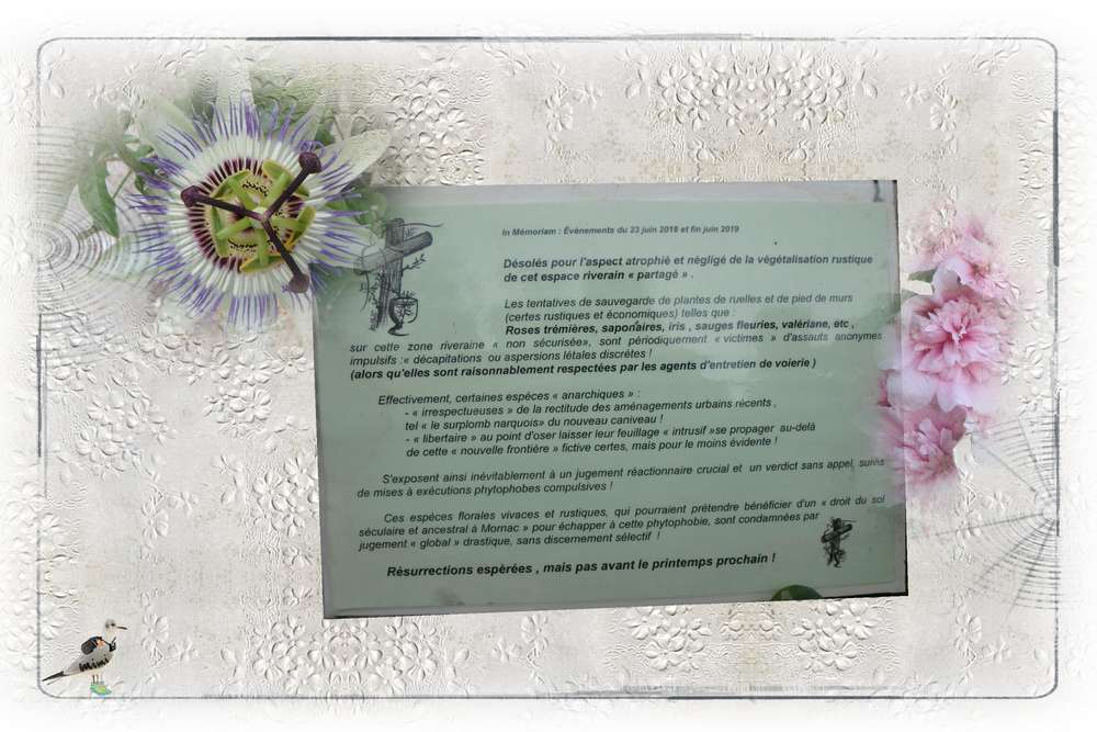 sans commentaire....