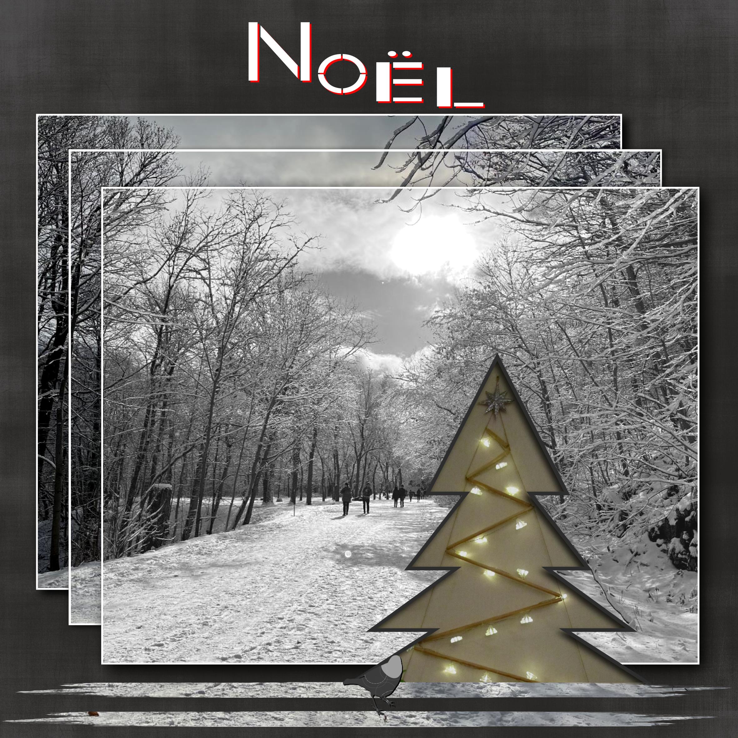 Sapin de Noël 2021.jpg