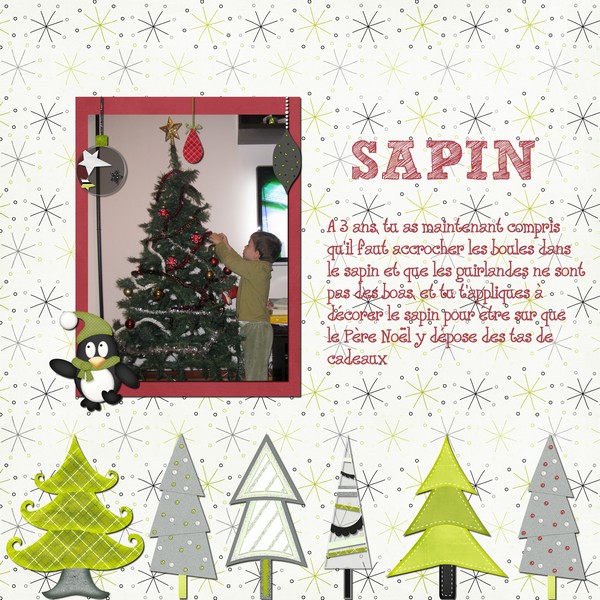 SAPIN