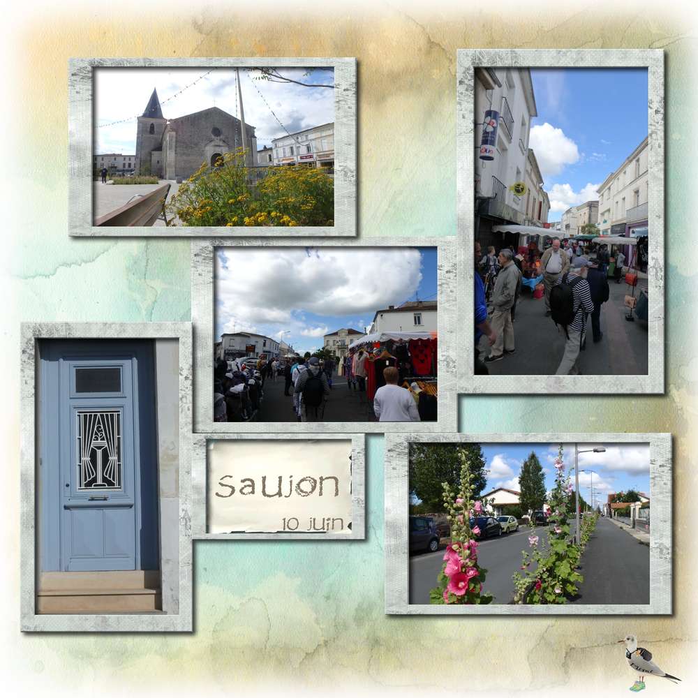 Saujon