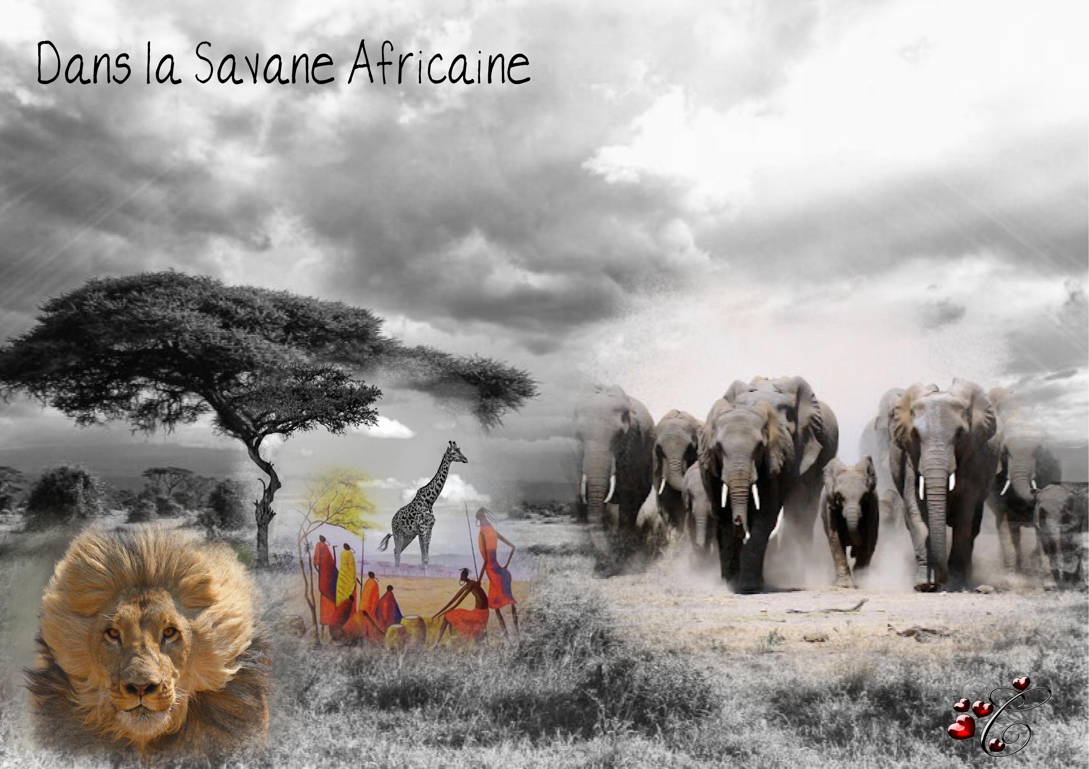 sauvage  Christine.jpg