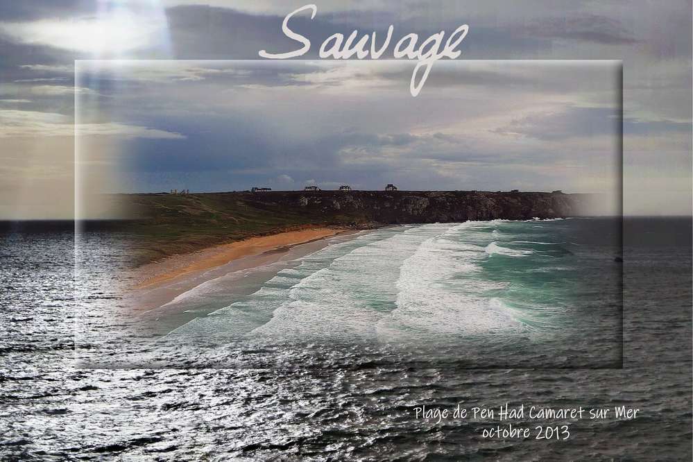 Sauvage scraptober 2019