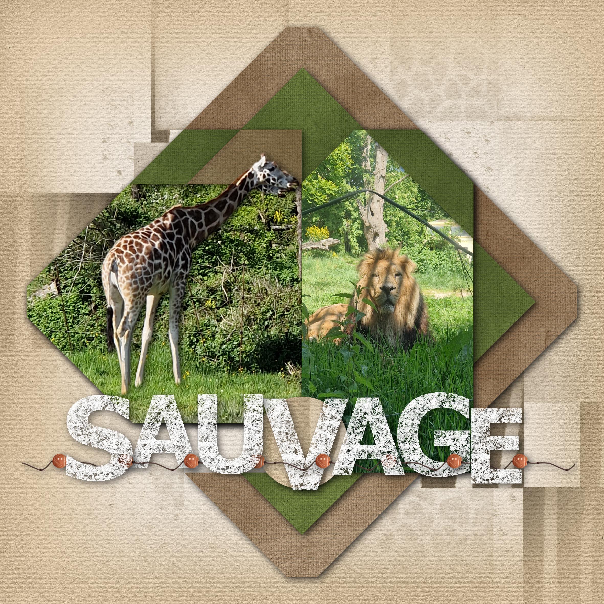 SAUVAGE..............speedscrap........
