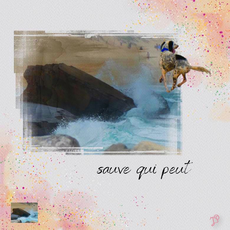 sauve qui peut.jpg