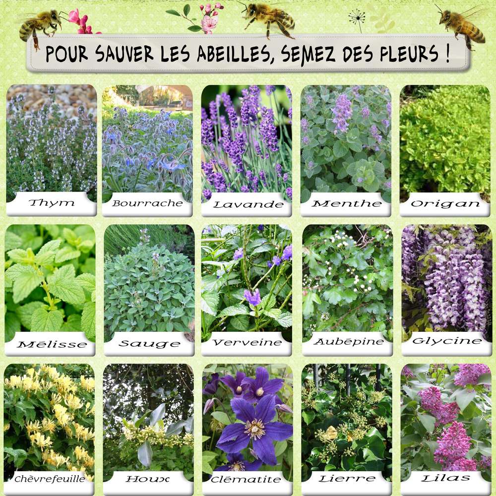 Sauvons les abeilles