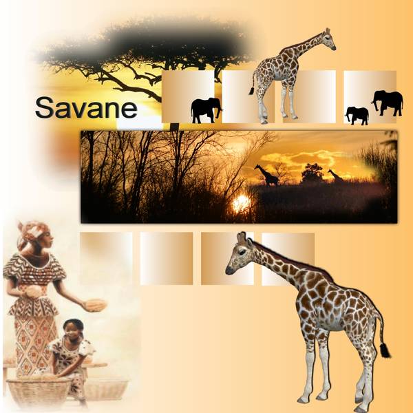 Savane2