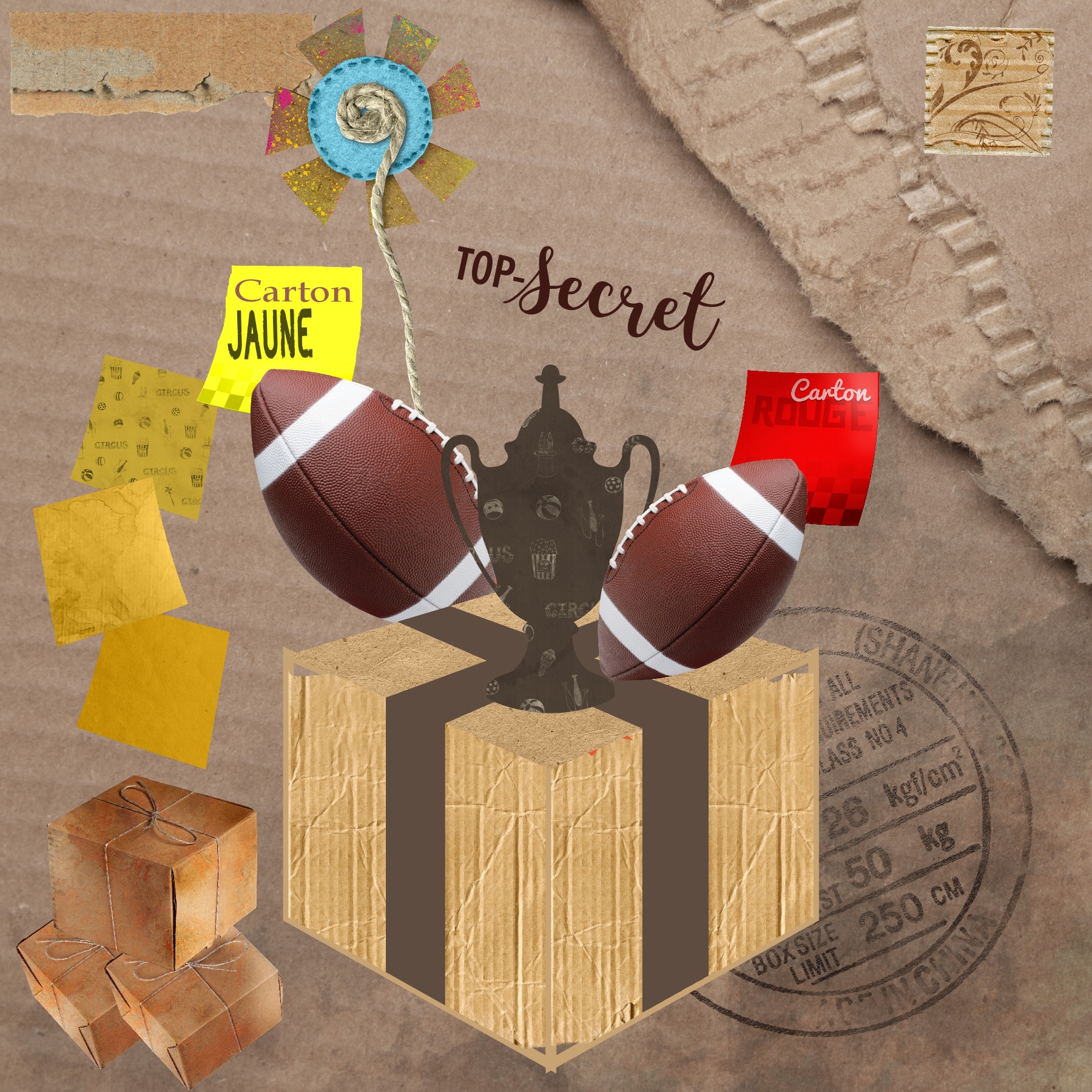 SCAPROTBER carton 04 10 2023.jpg