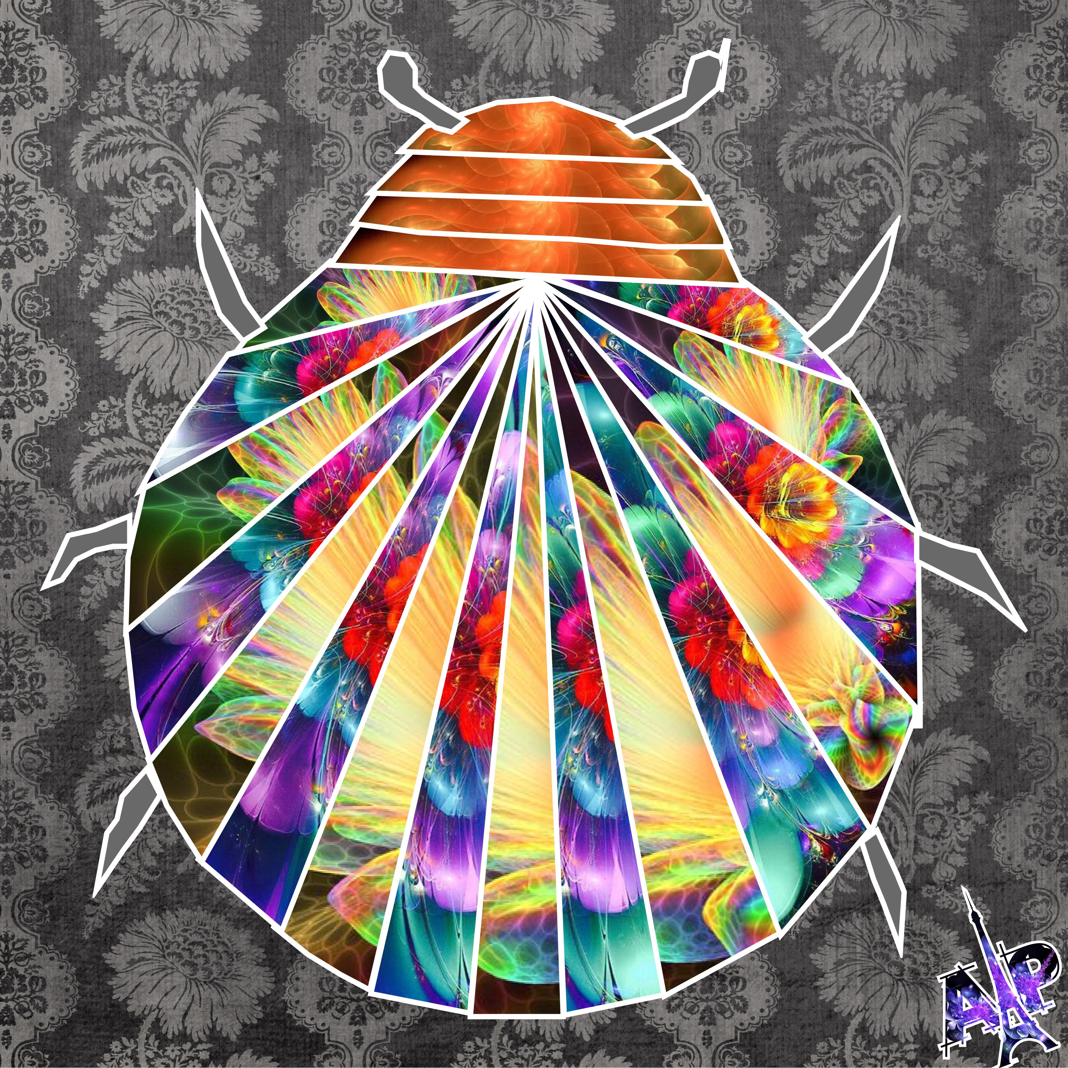 scarabée vitrail fractale Annie.jpg