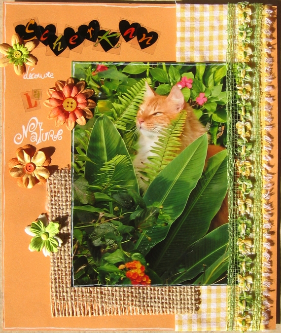 Scherkan découvre la nature