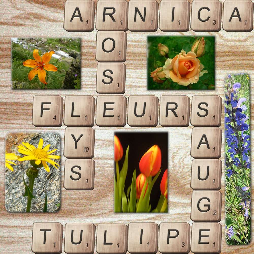 scrable_fleurs