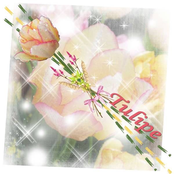 Scrapathon 2015 01 défi diagonale de Karine