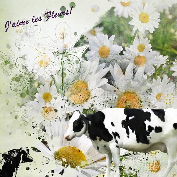 scrapathon j2 ma page