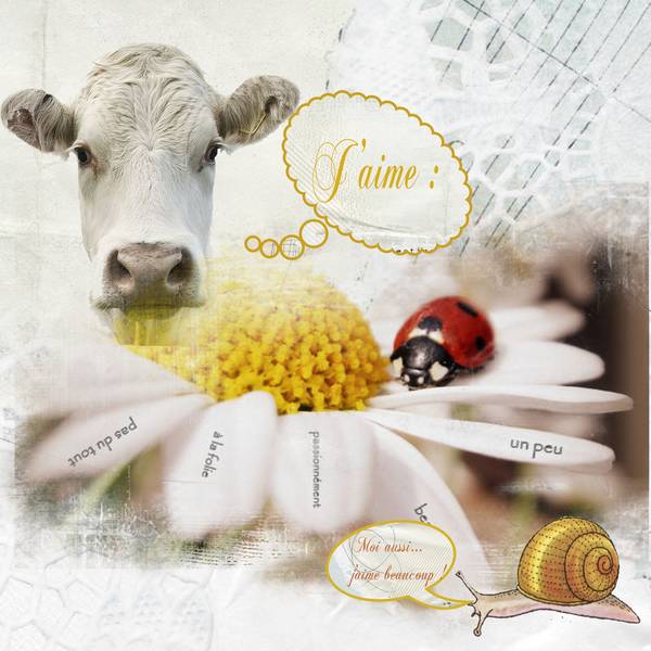 Scrapathon Karine - n° 2