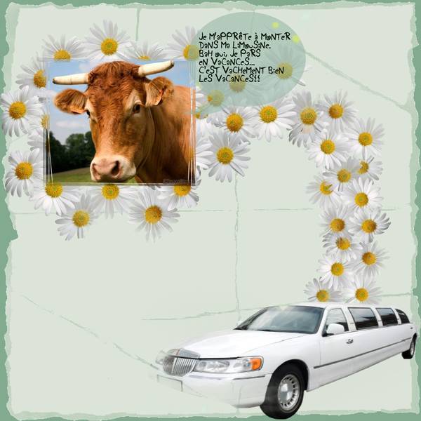 scrapathon_defi_2__vache-marguerite_