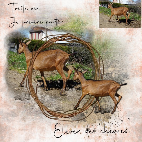 scrapenter (600).jpg