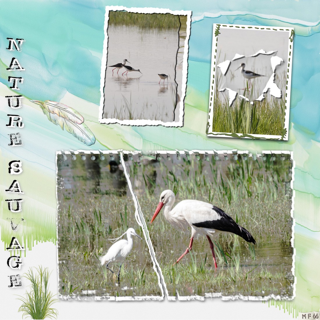 scraplift 2023 marie rose.jpg