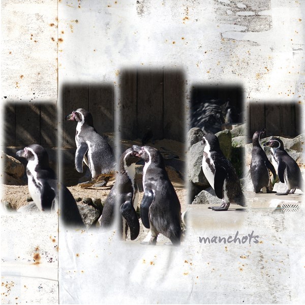 scraplift de Cecilia