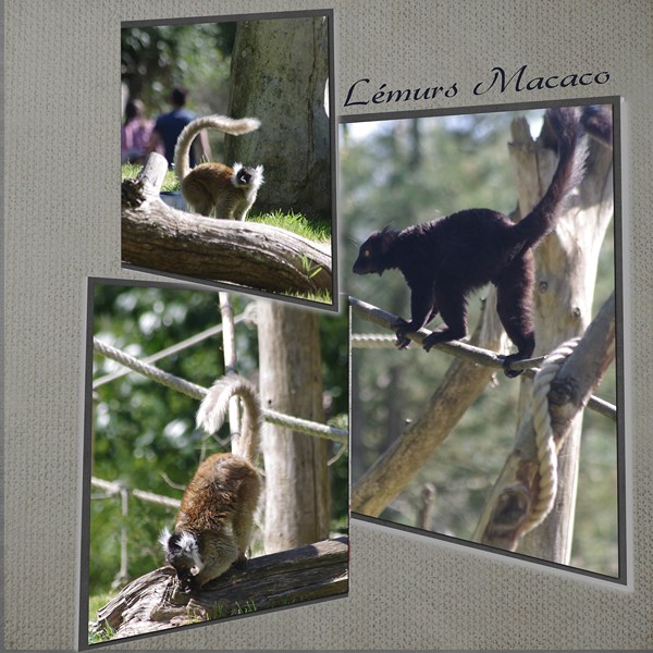 scraplift de Martine 29