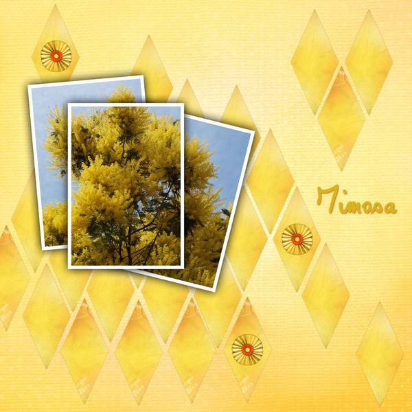 Scraplift de Mimi DS