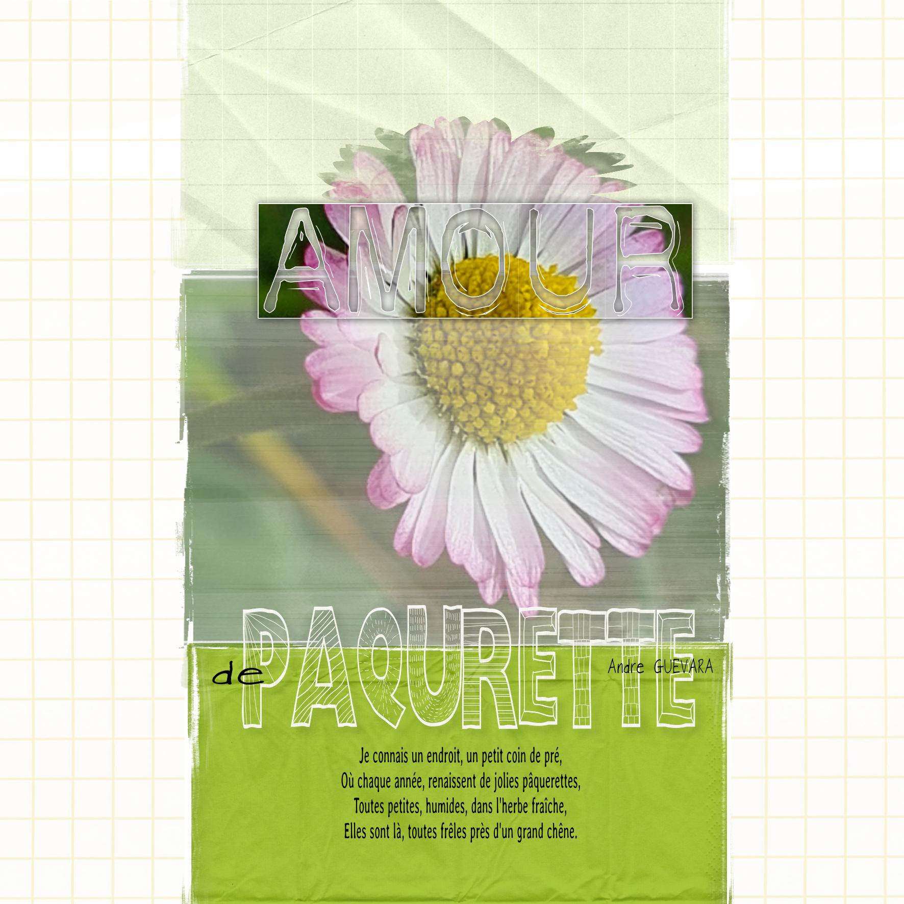 scraplift juillet 2022 paquerette.jpg