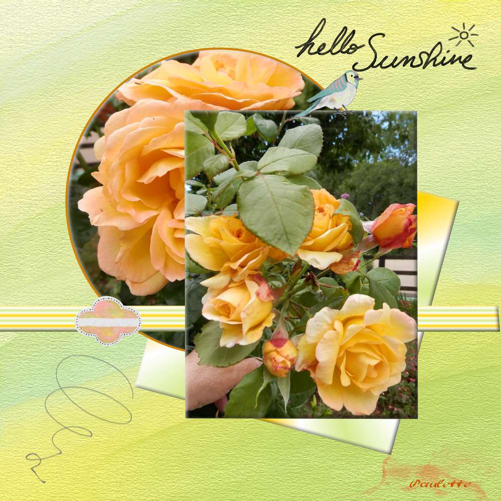 scraplift juin 2016 giecat