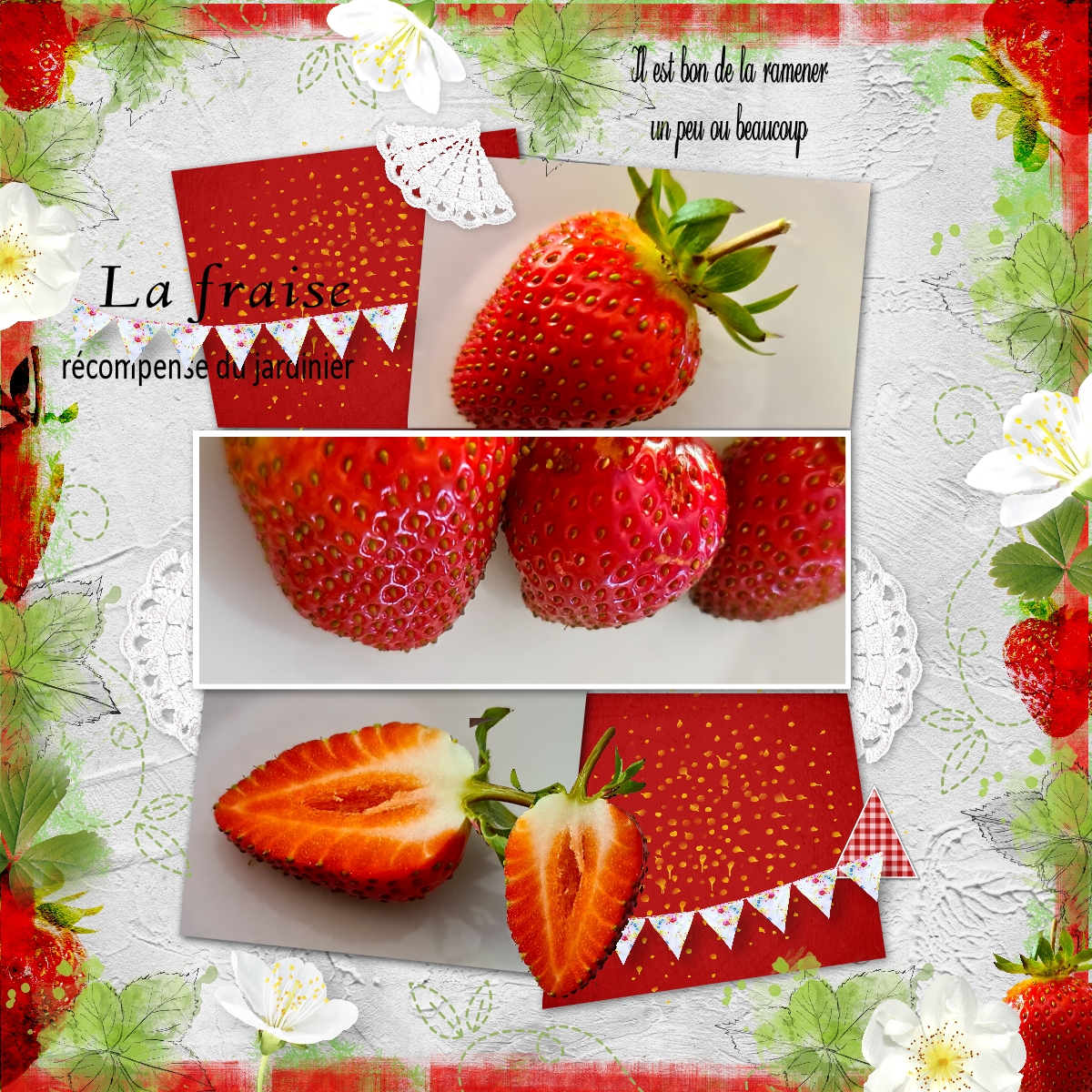 scraplift  juin 2021 fraise.jpg