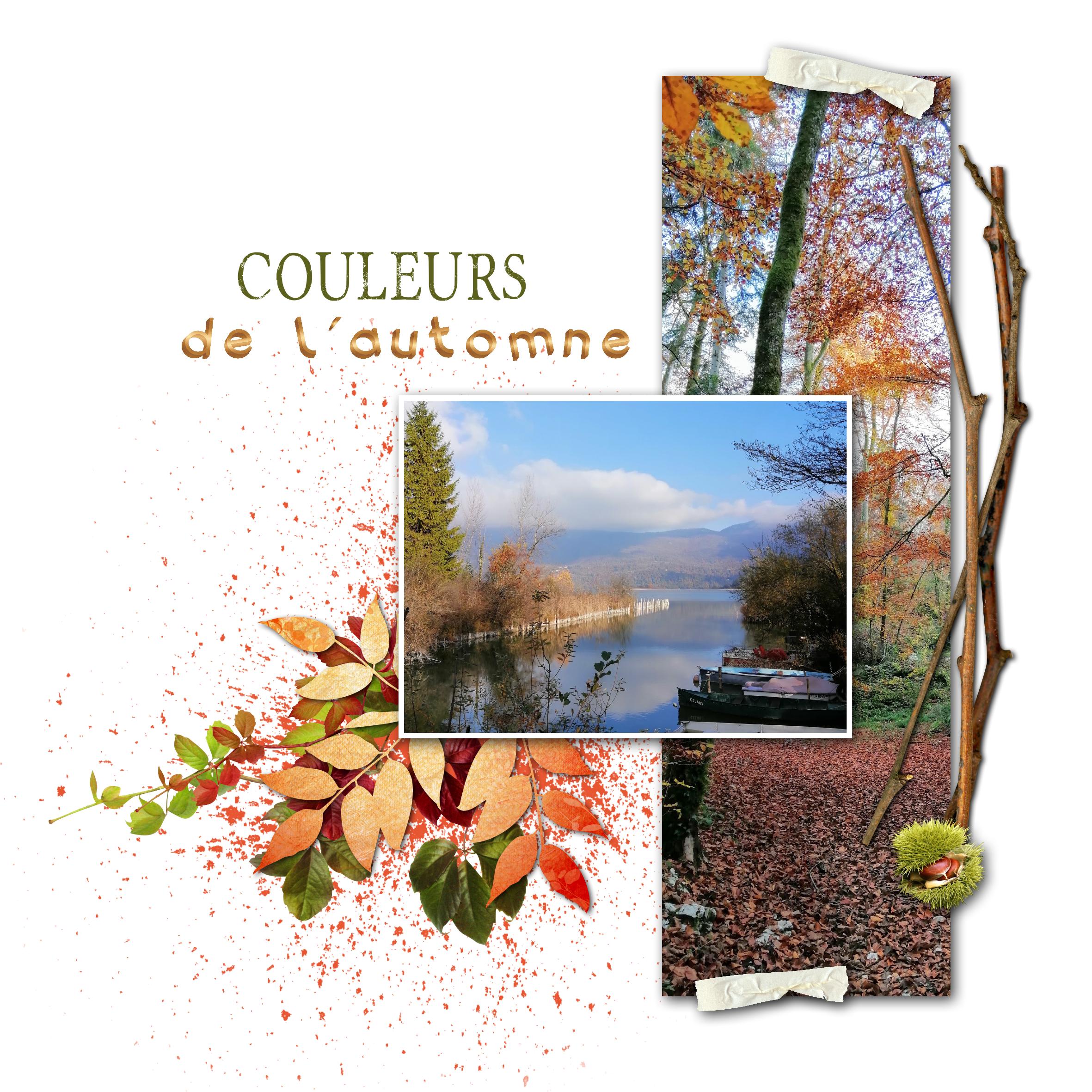 scraplift mamyrose.jpg