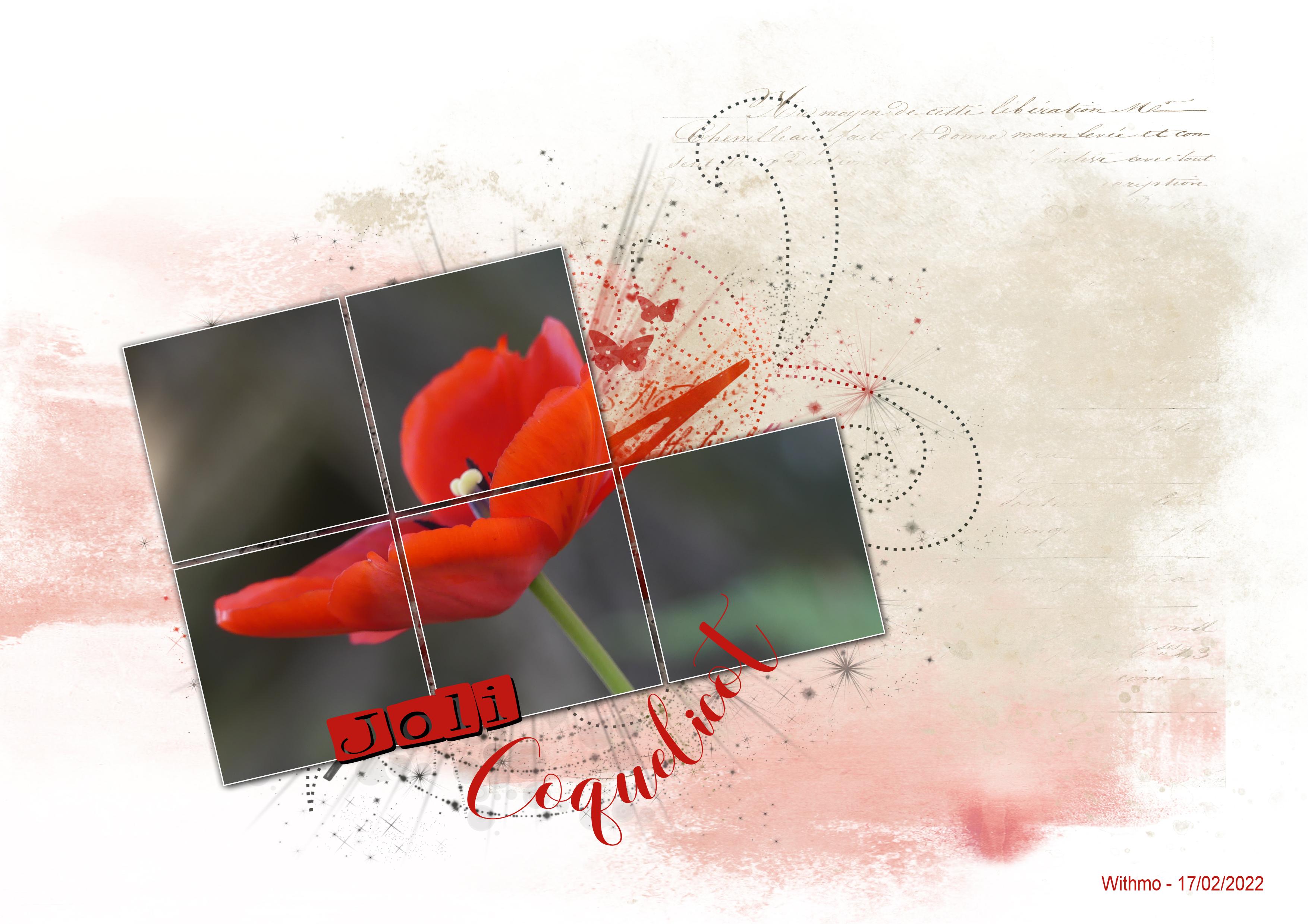 scraplift Marie-Rose février 2022.jpg