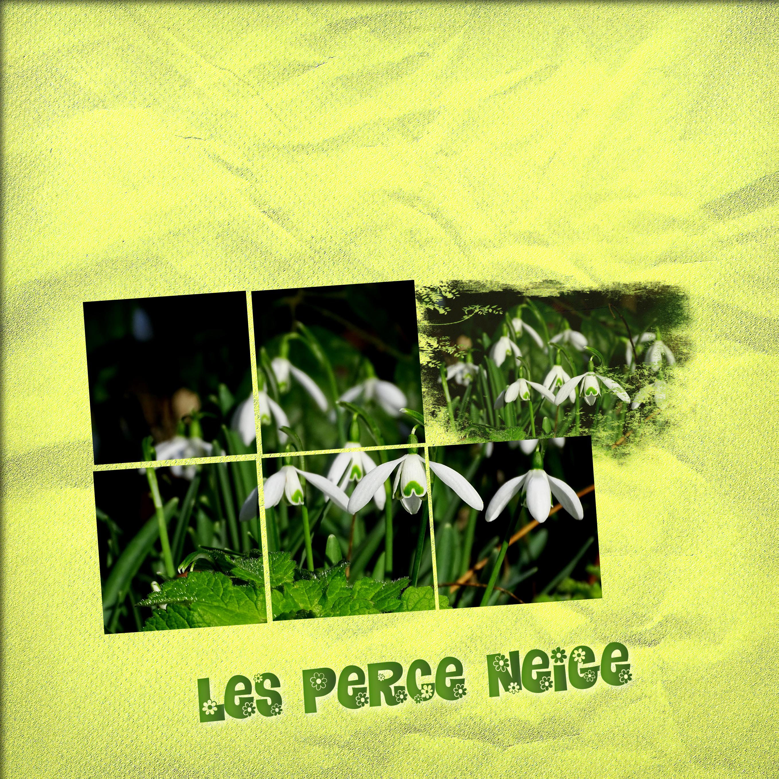 Scraplift Marie-Rose