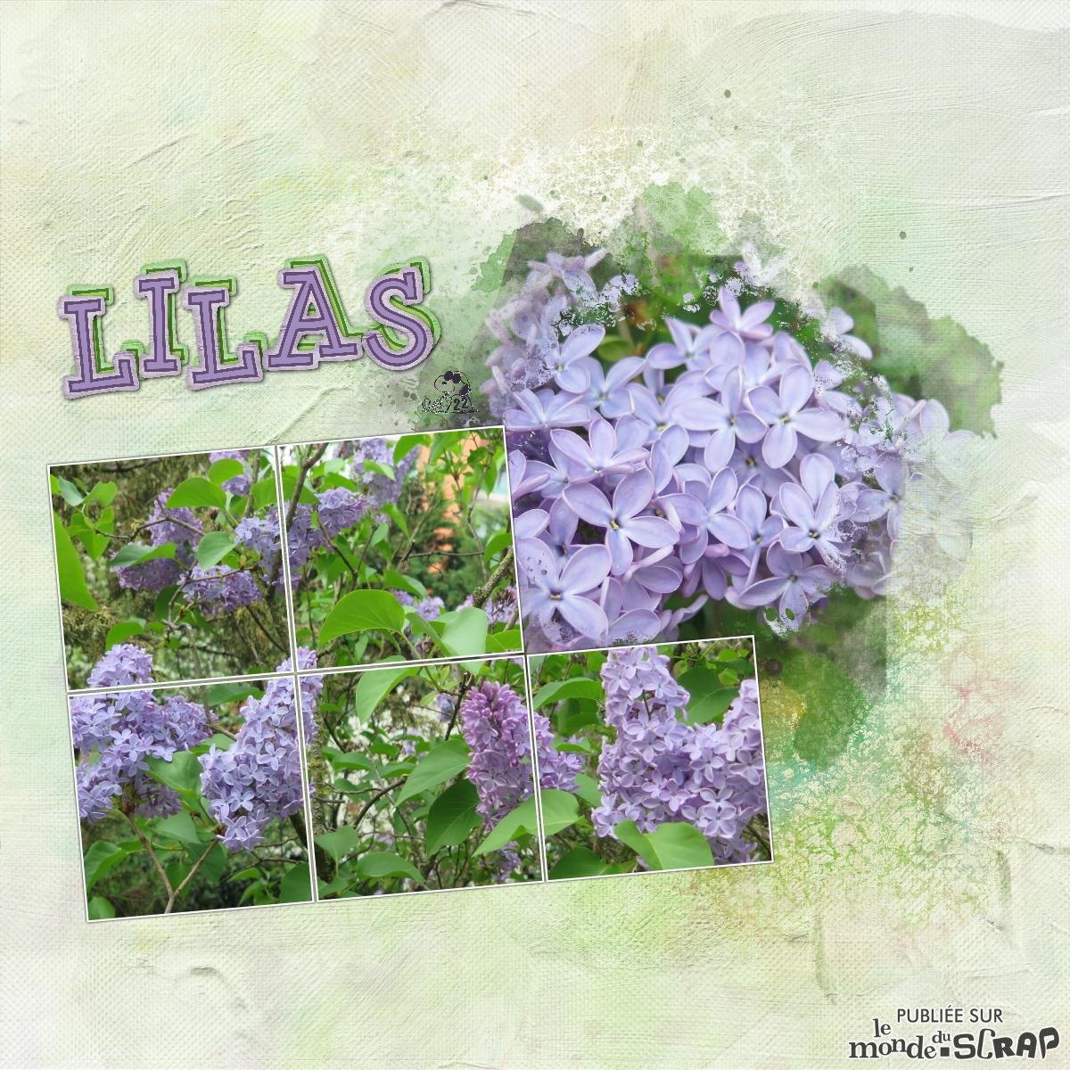 Scraplift modèle Marie Rose