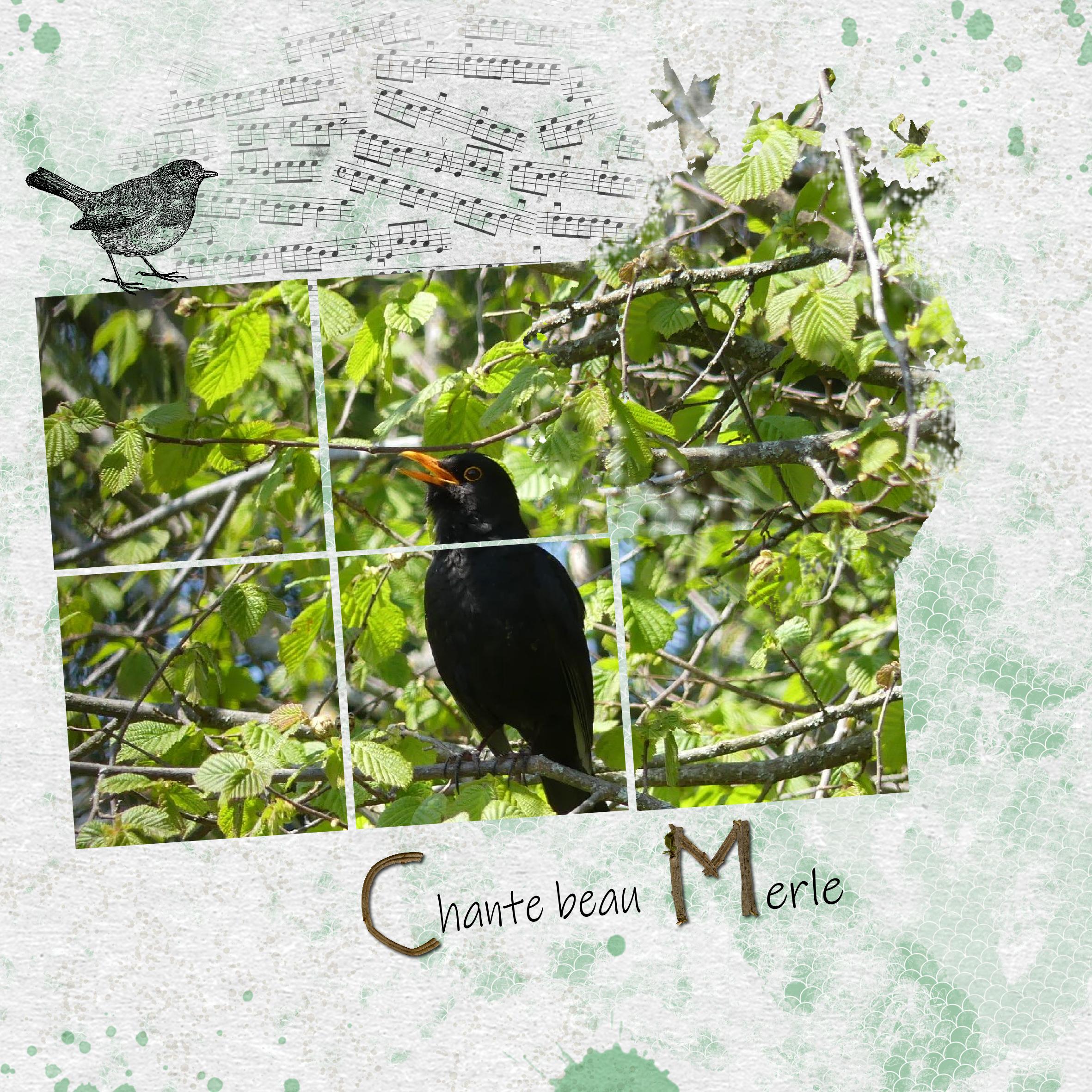 scraplift moyson 2.jpg