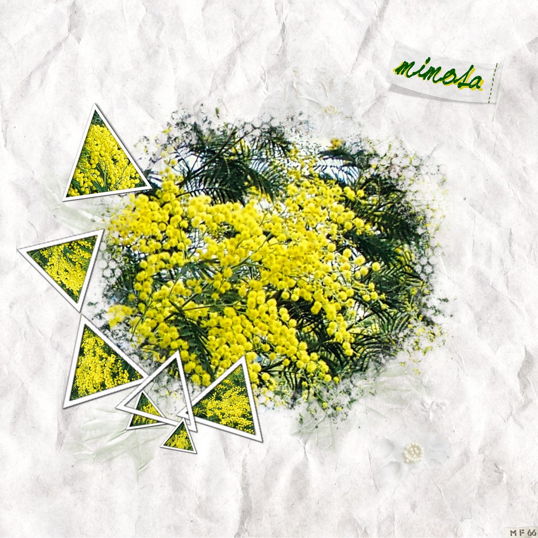 scraplift Moyson novembre 2022.jpg