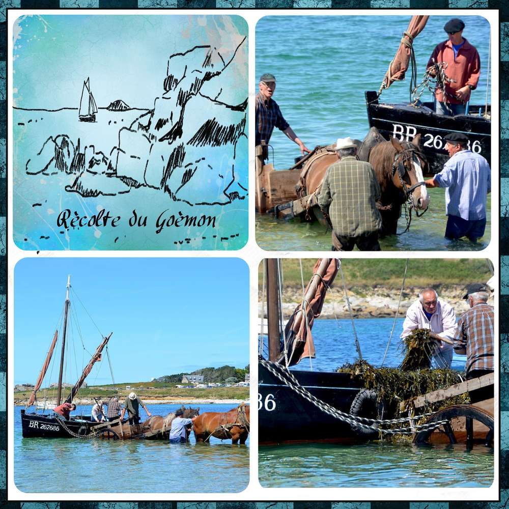 SCRAPLIFT_Du_TEMPLATE_DE_GILBERTE