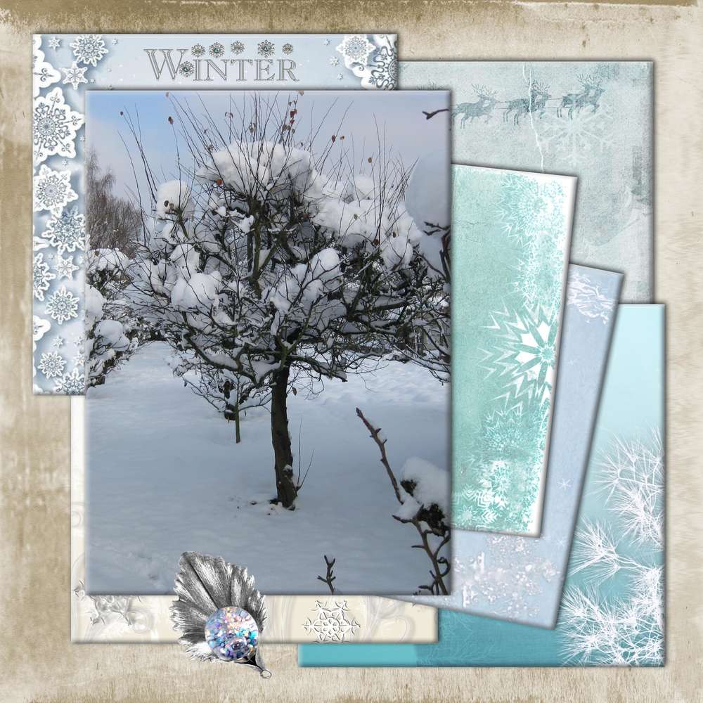 Scraplift_Giecat_Janvier