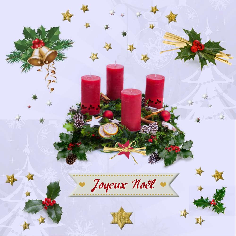 Scrapnoel 10/12 Houx