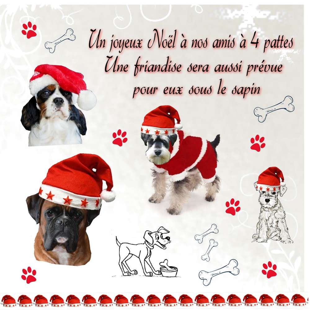 Scrapnoel 14/12 Bonnet (2)