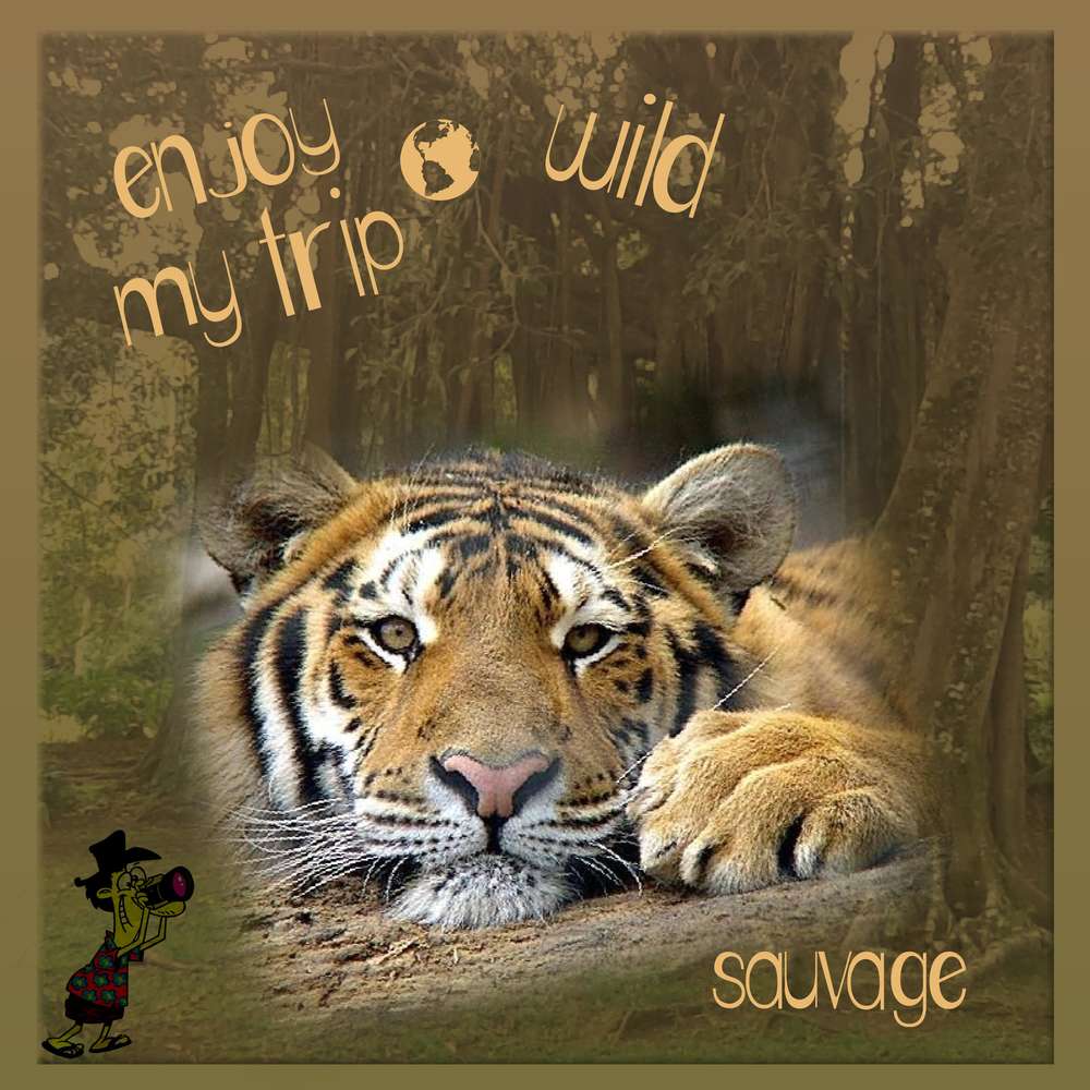 Scrapnoel 16 sauvage