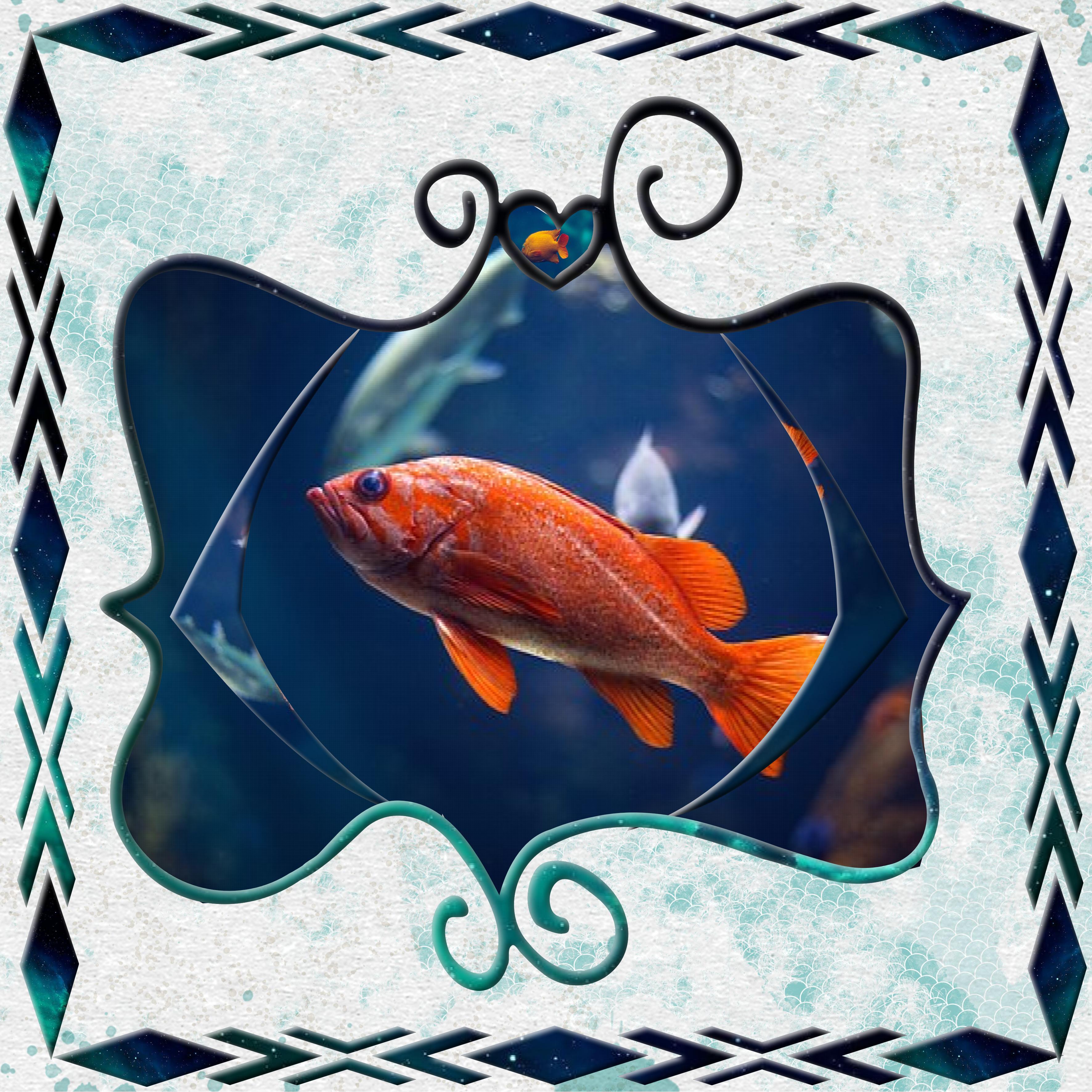 scrapocotobre poisson.jpg