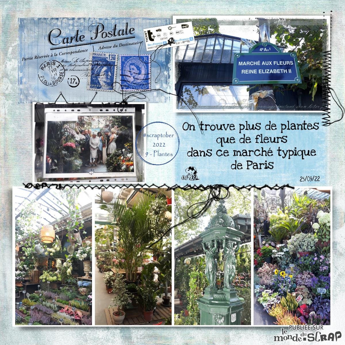 Scraptober 09 - Plantes