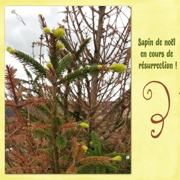 Scraptober 10- Bourgeon.jpg