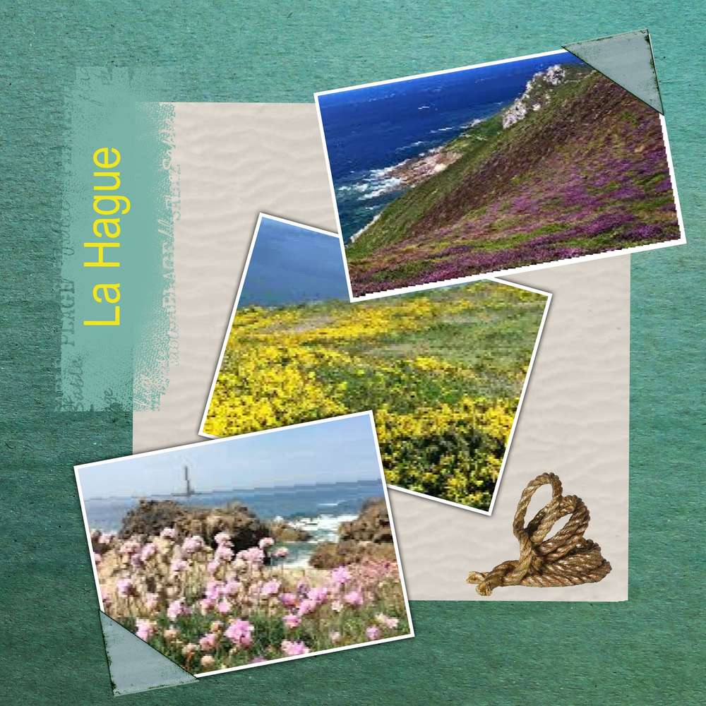 scraptober 16 - sauvage