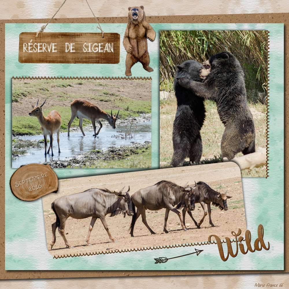 SCRAPTOBER 2019 16 SAUVAGE 1