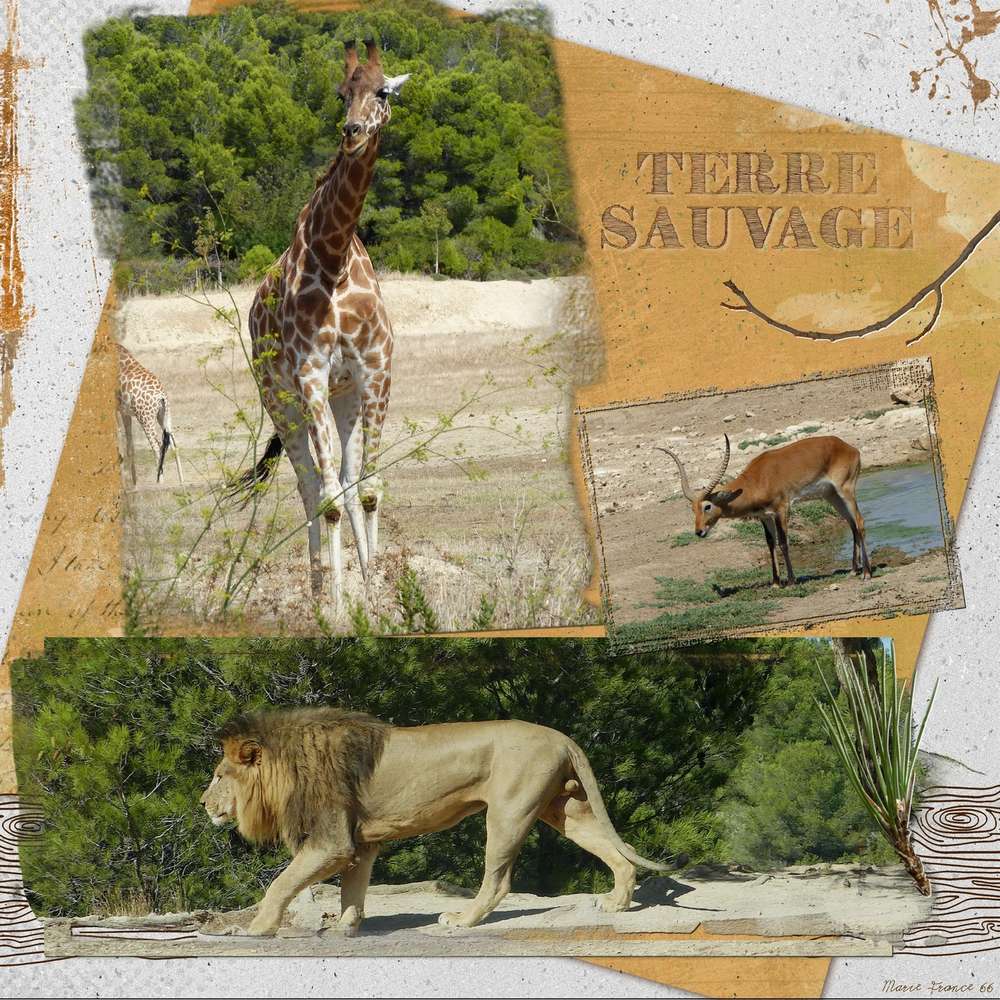 SCRAPTOBER 2019  16 SAUVAGE 2