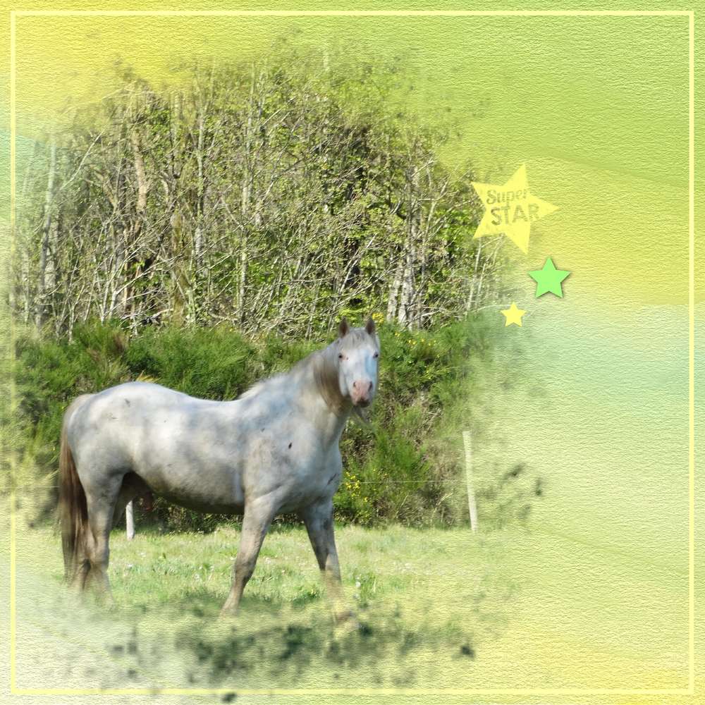 scraptober 2019.5.fier