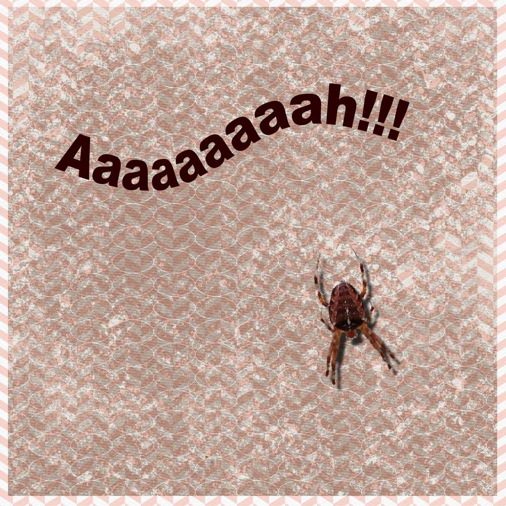 scraptober 2019.6.araignée