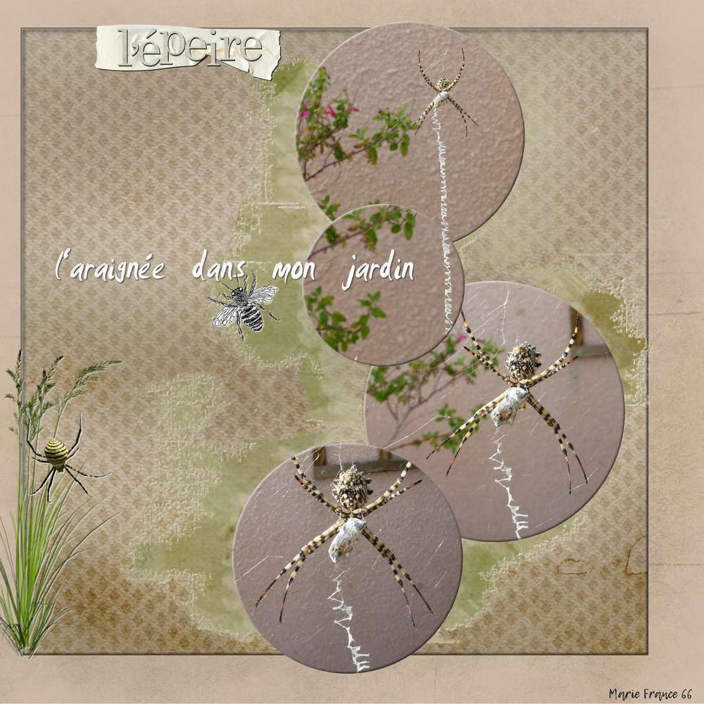 SCRAPTOBER 2019 6 ARAIGNEE